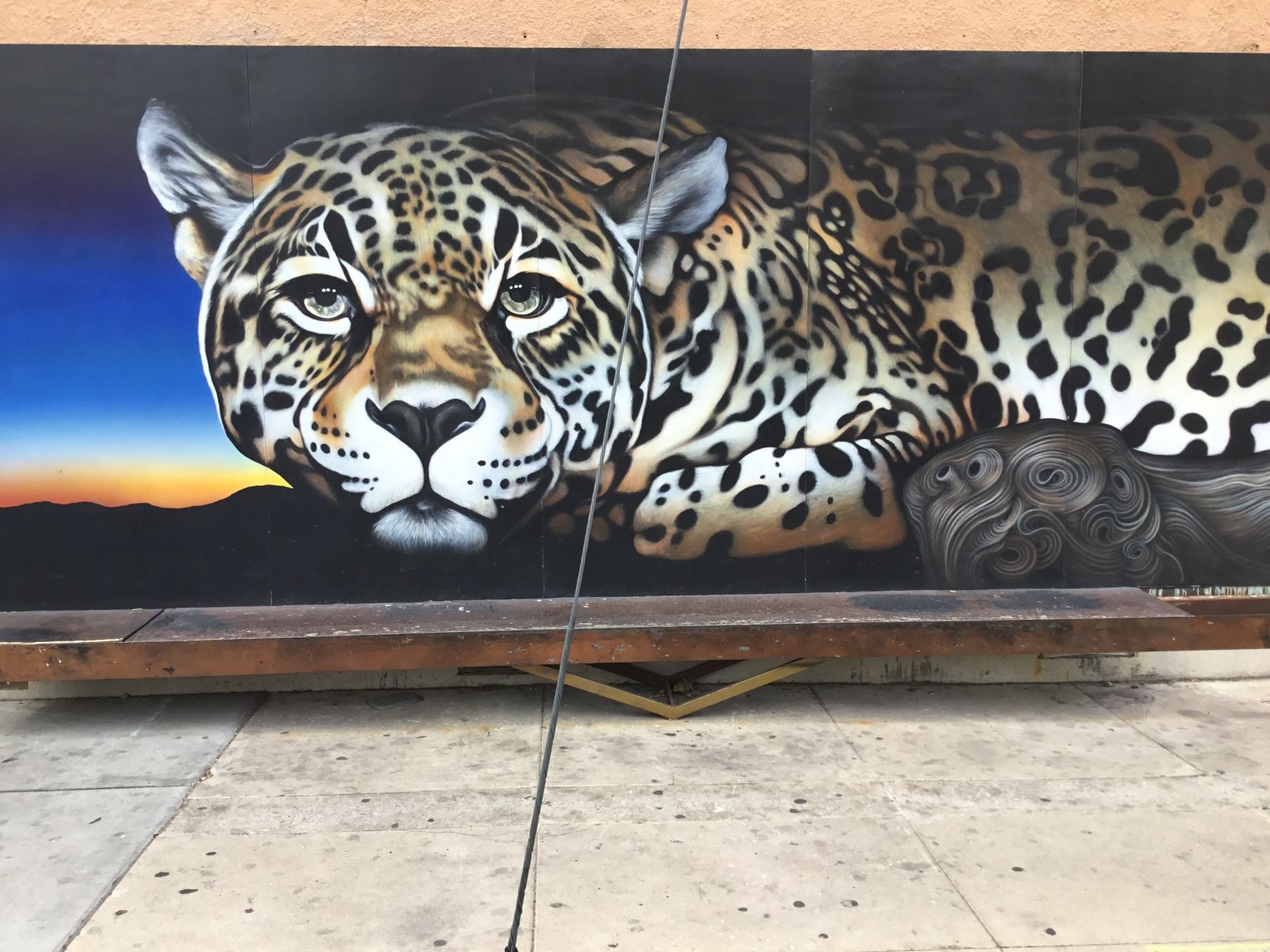 Tucson murals